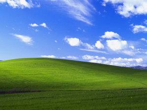 Bliss - Windows XP Wallpaper